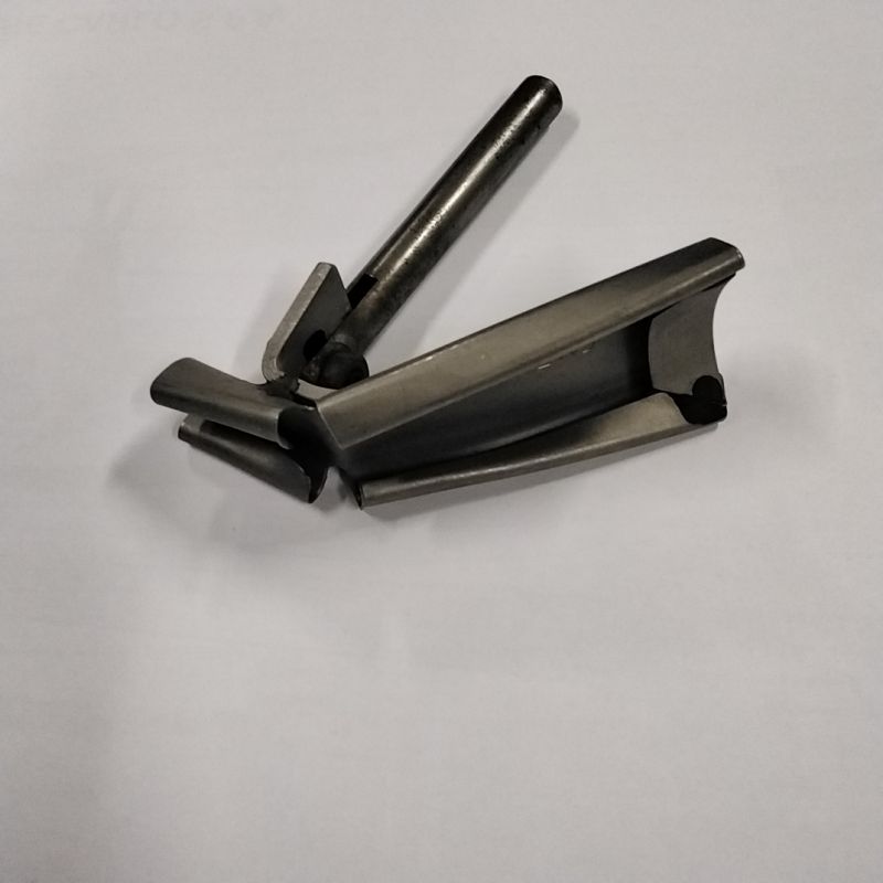 TVB L BORDATORE T. VIVO 35